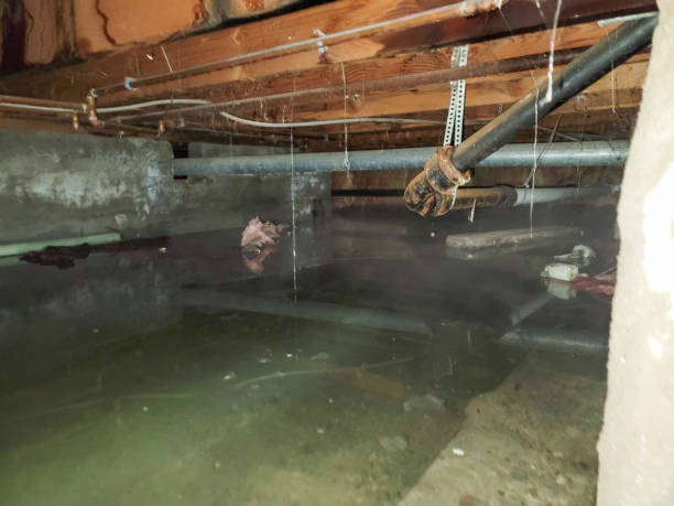 Water damage restoration insurance claims in Cole Camp, MO