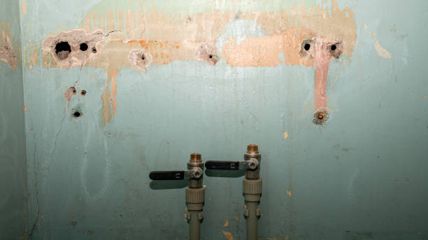 Best Local water damage restoration  in Cole Camp, MO