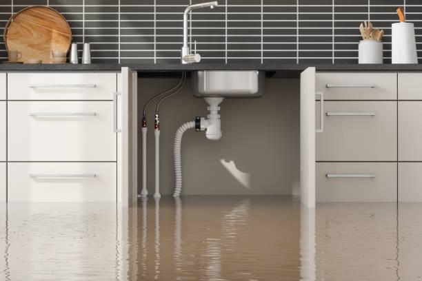 Water damage restoration experts in Cole Camp, MO